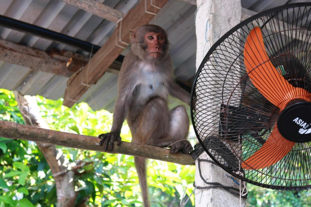 Hiep Tung Homestay Tân Hiệ エクステリア 写真